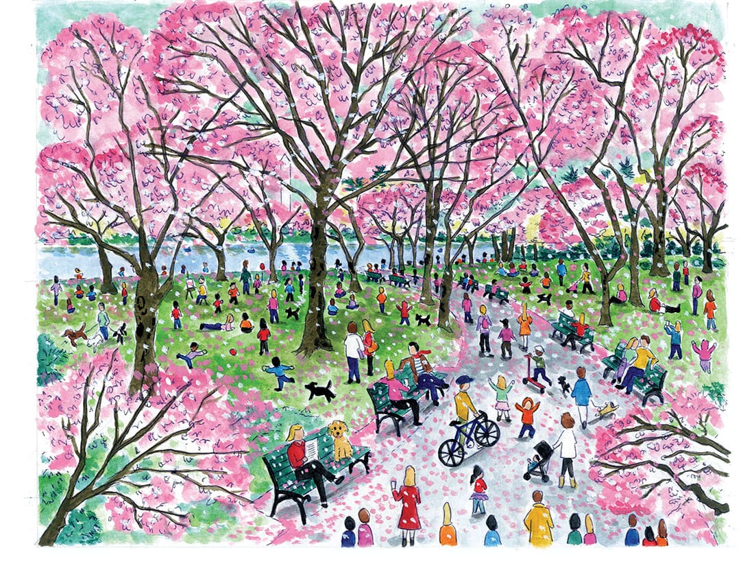 Cherry Blossom Original Art